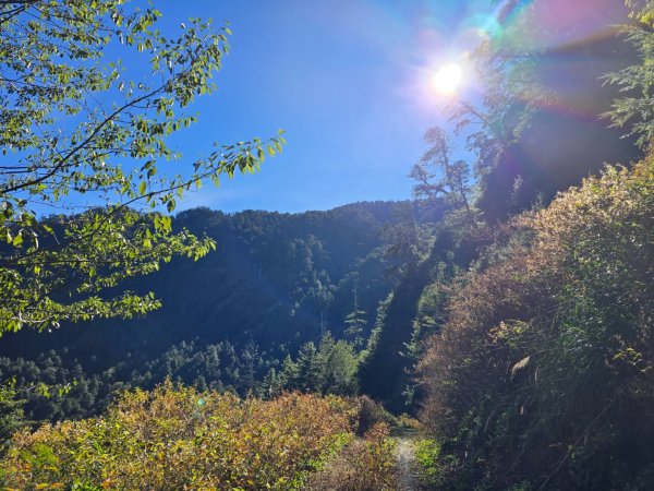 中／大雪山～230林道2648427