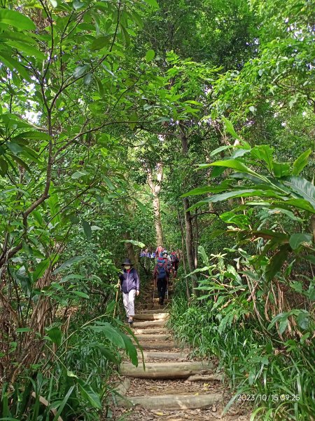 捷運麟光站→富陽生態公園→福州山→中埔山及其東峰→軍功山→世界山莊→忠正嶺→土地公嶺步道→糶米古道2315968