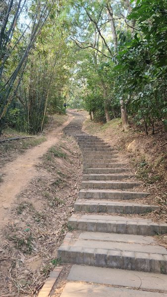 2026-0118新竹新埔文山步道2984645