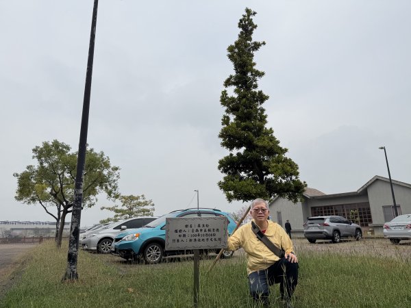 [山海圳_內海之路_第二段] 2026_0228 臺灣歷史博物館_茄拔天后宮3009272