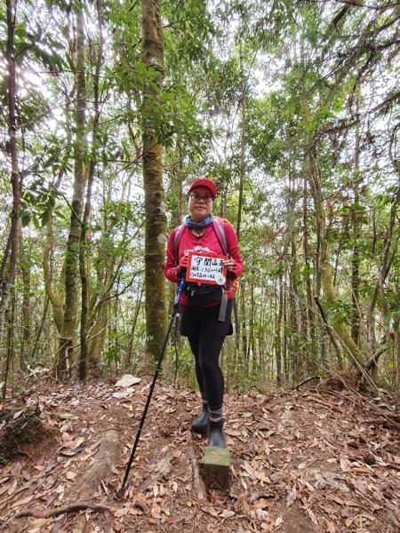 【埔里六秀之首】守城大山1291114