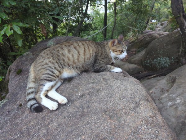 2025.09.07－金面山2880213