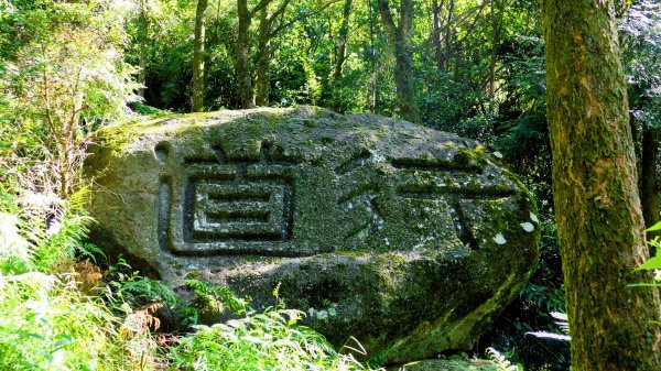 陽明山16草原之西線8草原2904051