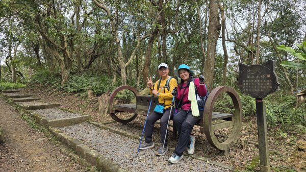2025貓空杏花林杏花大爆發，粉紅、深紅及白色杏花爭奇鬥艷，從公車站步行20分鐘即抵達2720174