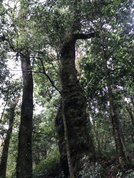 特富野古道903200