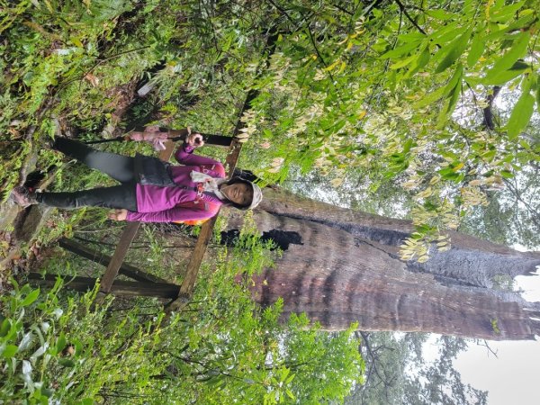 北得拉曼-20204062859825