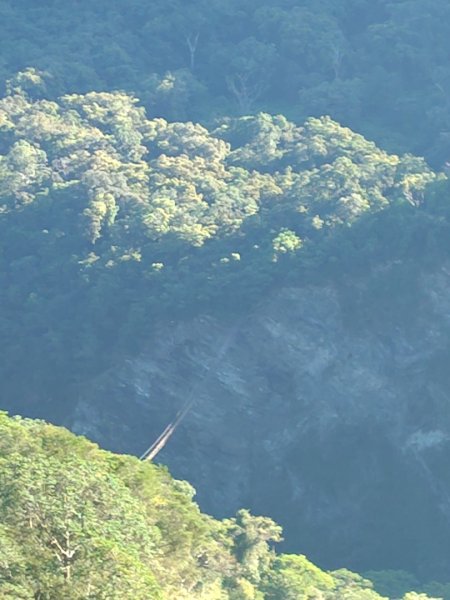 多納六秀 京大山2957577