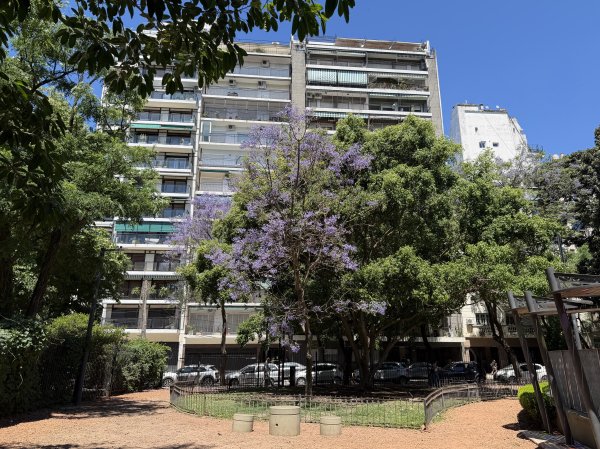 [紐約馬之行-59] 2025_1114 卡洛斯·泰斯植物園-上2953909