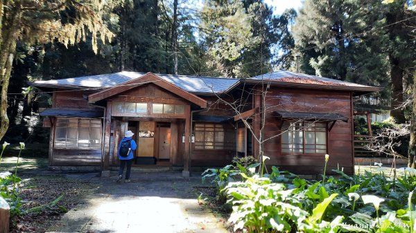 《嘉義》森鐵雲海｜阿里山祝山觀日步道對高岳車站202312292388832