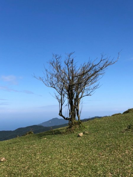 灣坑頭山草嶺古道線無敵山海美景510910