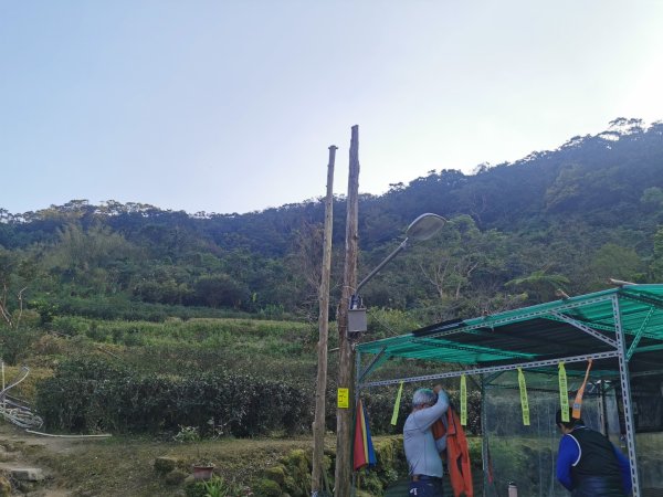 猴山岳萬壽路登山口-猴山岳-林家草厝-猴山岳山腰路-泰元農場 踽踽獨行之二2720849