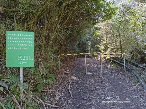 【南投】合歡溪步道：遠得要命的櫻花鉤吻鮭2912245