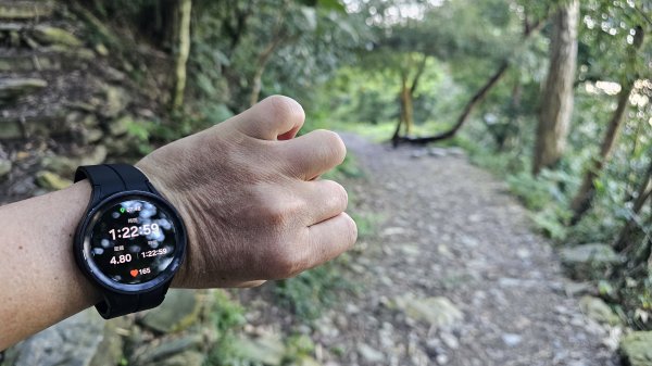 【尾寮山靜修日：一人一山，一念清明，山無語，我自省】🌿2937940