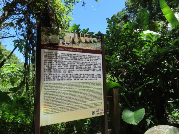 小半天孟宗竹林古戰場+長源圳生態步道Ｏ形2877867