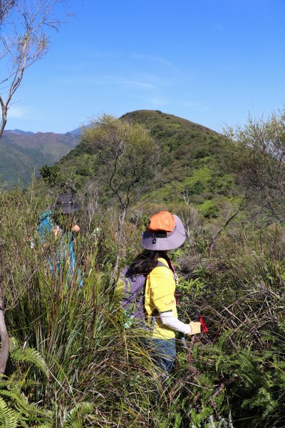 HK - 白燕岩1661217