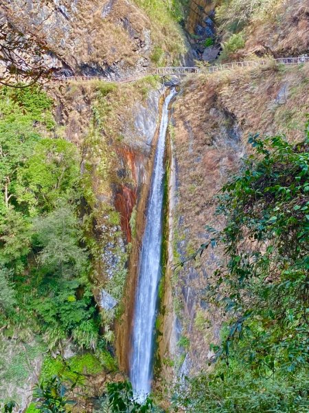 啟動高山度假模式~金牌三小隊之馬博橫斷8日2964847