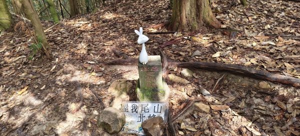 2026/02/18-屋我尾山步道（大雪山林道來回）3005102