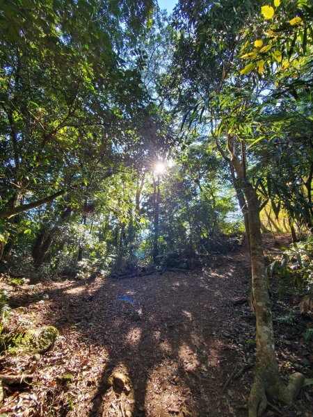 【苗粟 | 馬拉邦山】1227238