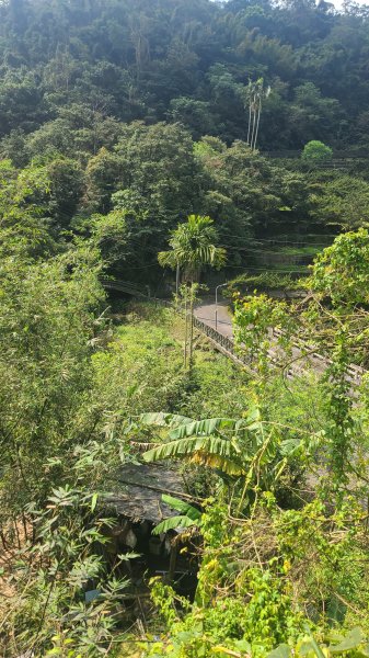 2025-0310臺北大縱走第七段2737284