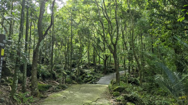 關仔嶺大凍山步道1448302