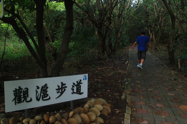 桃園新屋綠廊自行車道202211271968467