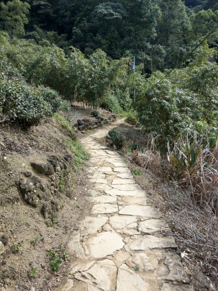 銀河洞順登鵝角格山&三玄宮山728619