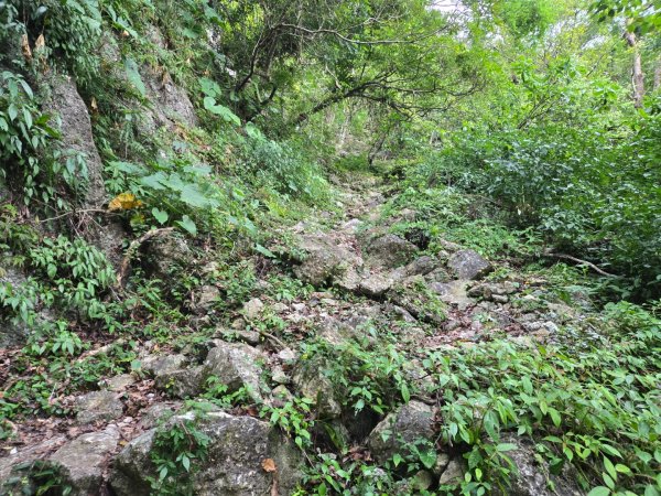 麻荖漏步道、彩虹瀑布2697956