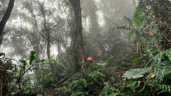 新竹內灣麥樹仁山五連峰2763836