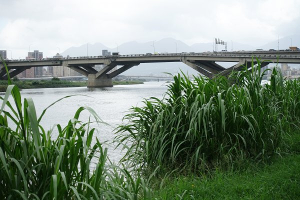 龍山河濱公園．玉泉公園1124283