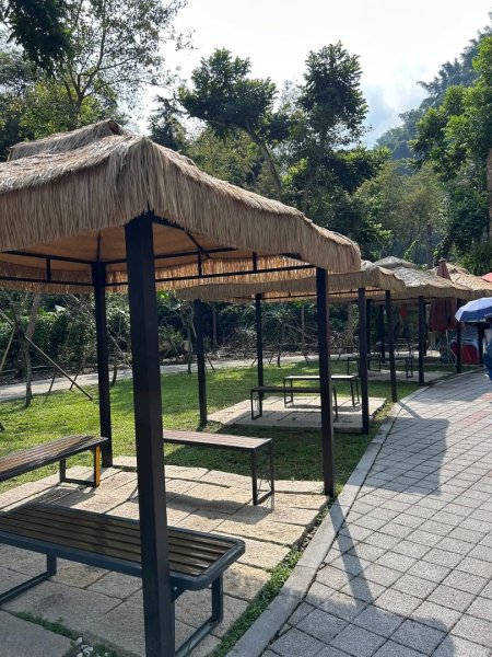 ［竹山］瑞龍瀑布步道  竹山第一美瀑之稱2909715