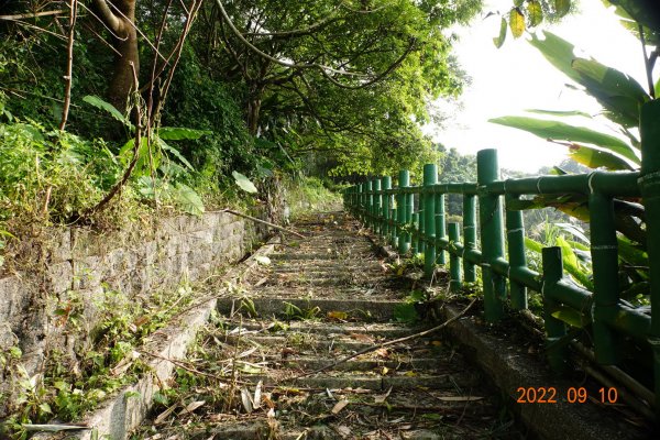 南投 鹿谷 尖子頂山(麒麟山)1841770