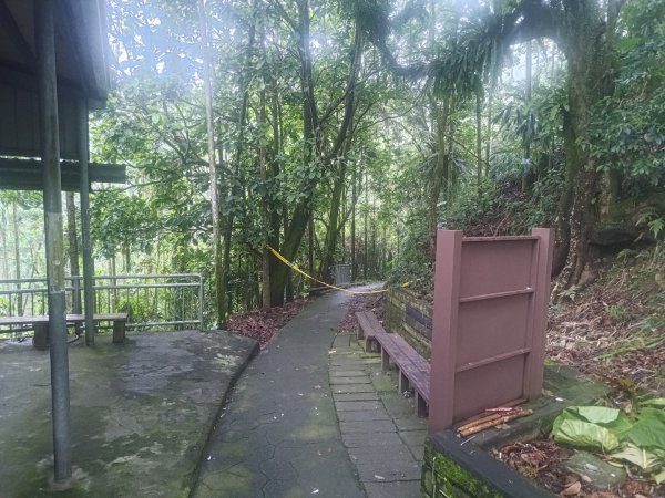 雲嘉十八連峰2589568