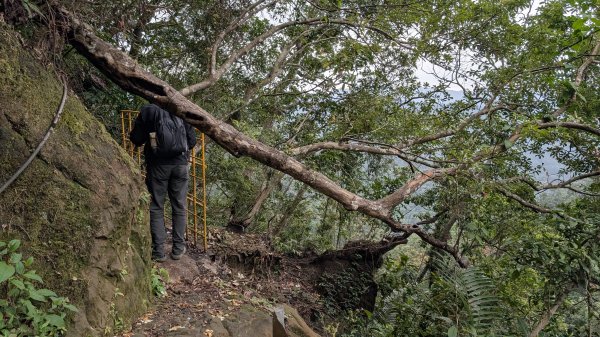 114.12.14黃帝殿西峰-天王峰-黃帝殿東峰之旅2962020
