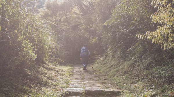 雨鞋登山初體驗-大屯山南峰、大屯山西峰連走1647932