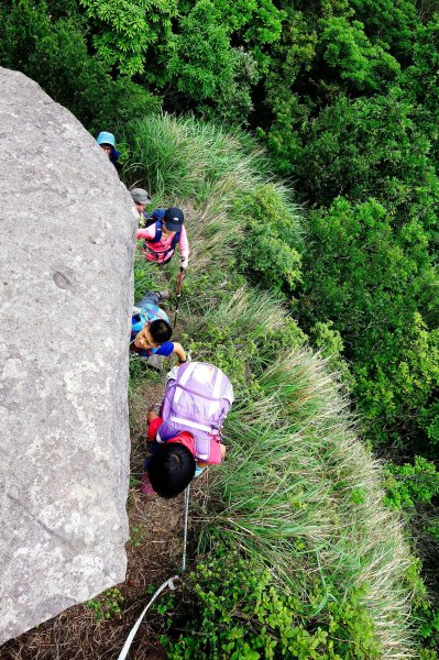 小觀音山主峰下竿尾崙572365