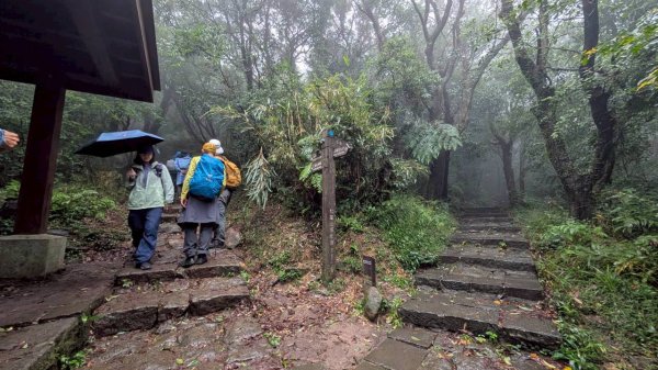 114.11.01旅聯網21週年活動之七星山-七星山東峰-七星公園-夢幻湖2928913