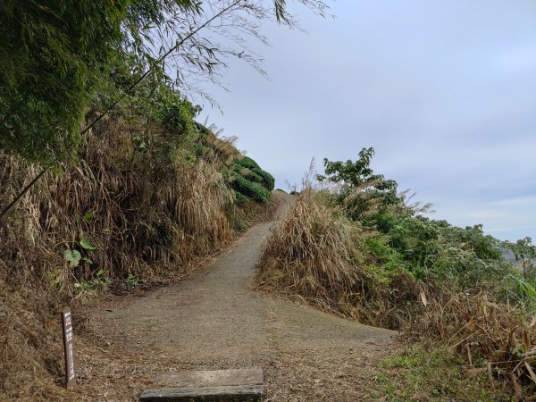 2023.12.23 梨子腳山2833263