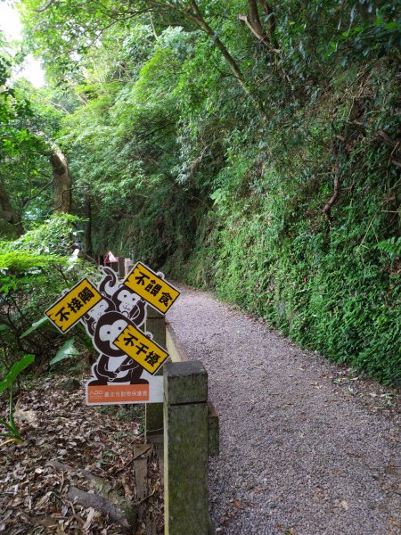 天母水管路步道(天母古道)1099019