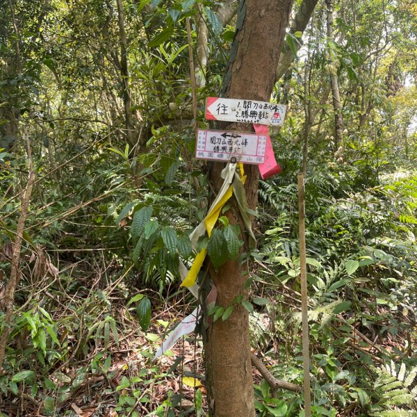 20250407_關刀山步道（苗栗小百岳）2855759