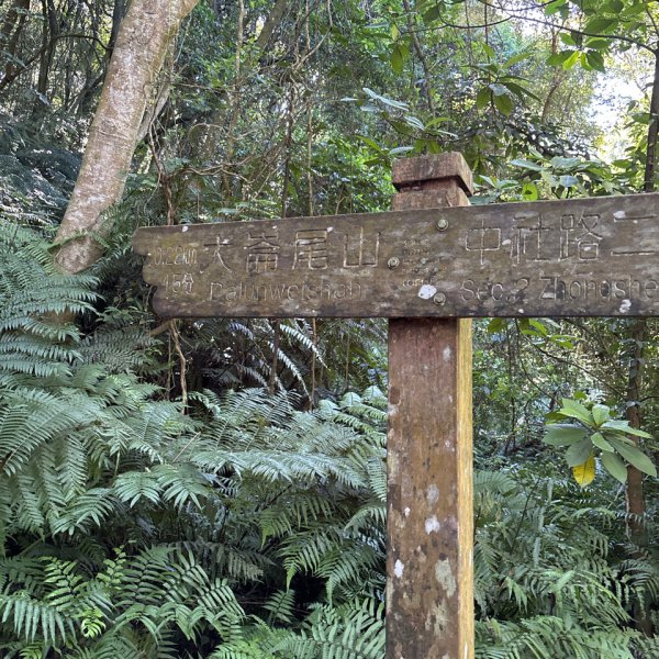 大崙頭山、大崙尾山2922658
