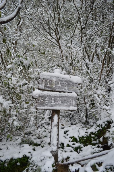 「四分尾山」賞雪趣(2016/01/24)1945038