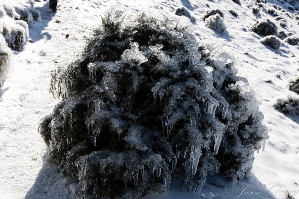 南二段撤退行2743123