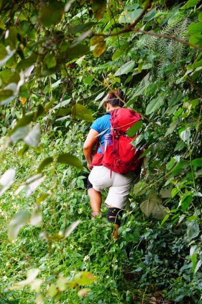 埔里彩蝶瀑布之國姓鄉眉冷山及糯米橋1466209