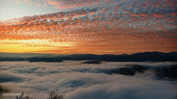 翡翠水庫壩頂 #曙光 #日出 #火燒雲 #斜射光(上帝光) #雲海 3/1封面