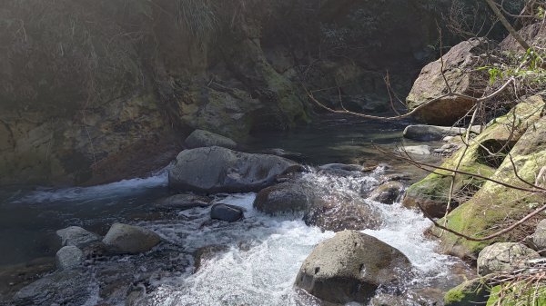 瑞芳小錐麓2714468