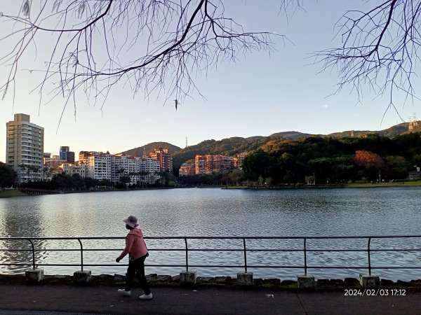 內湖瑞陽公園、碧湖公園、大港墘公園2416876