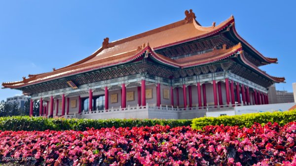 #自由廣場 #大安森林公園 #繡球花 #杜鵑 3/163016267