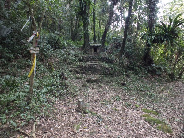 尪仔石坑越嶺古道-姜子寮山腰古道