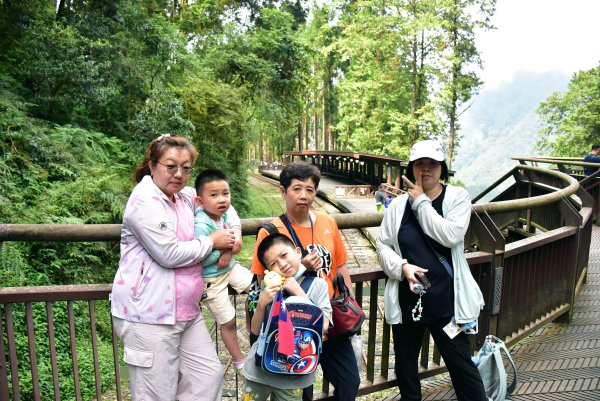 20251011追公車搭公車阿里山漫遊2910925
