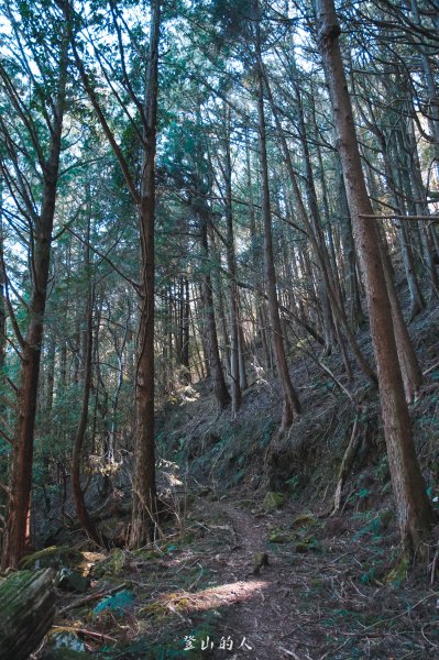 霞山鐵道野營2843088